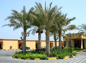 no-hotel-pic