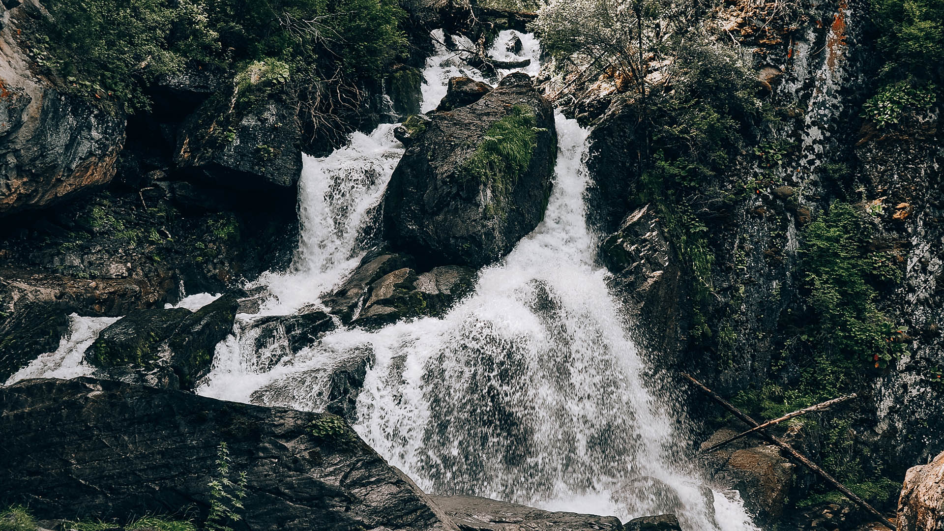 slide image
